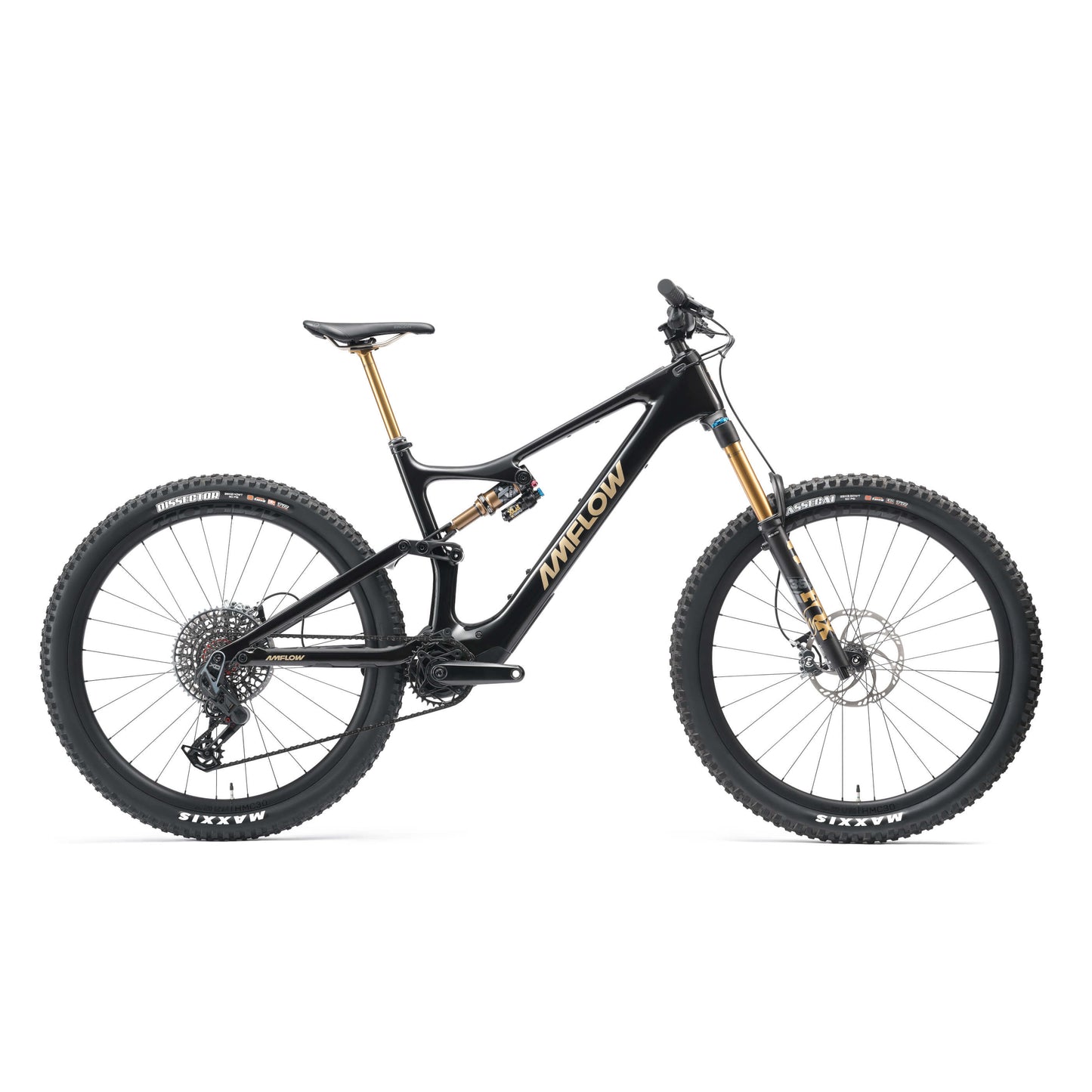 PL Carbon PRO (800Wh) eMTB