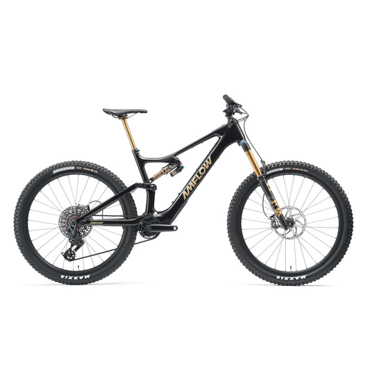 PL Carbon PRO (800Wh) eMTB