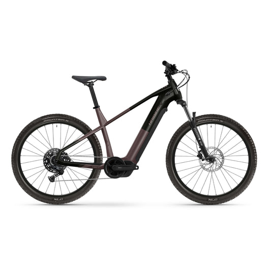 AllTrack 6 2026 – Electric Bike
