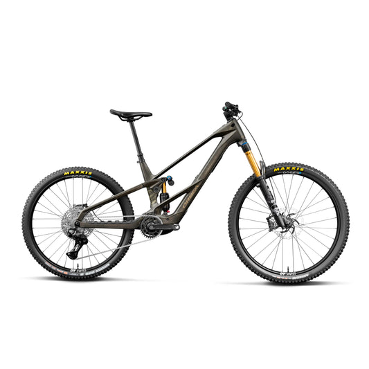 Wild LT M10 Mullet 2027 – Electric Bike